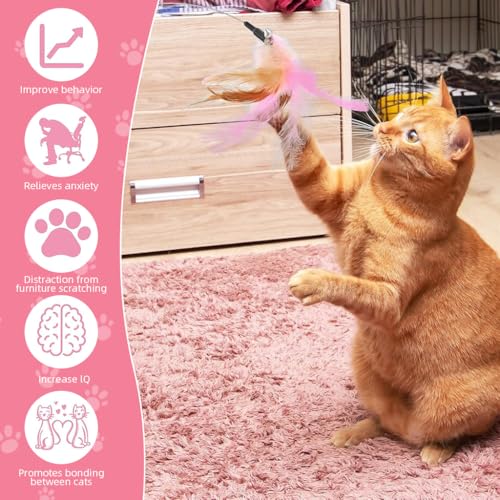 Qpets® Cat Toys Feather Collar Adjustable Stylish Design Interactive Elastic for Kittens Funny Playing Indoor 3PCS 20-32CM Qpets® Cat Toys Feather Collar Adjustable Stylish Design Interactive Elastic for Kittens Funny Playing Indoor 3PCS 20-32CM